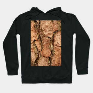 Brown golden cracked tree Hoodie